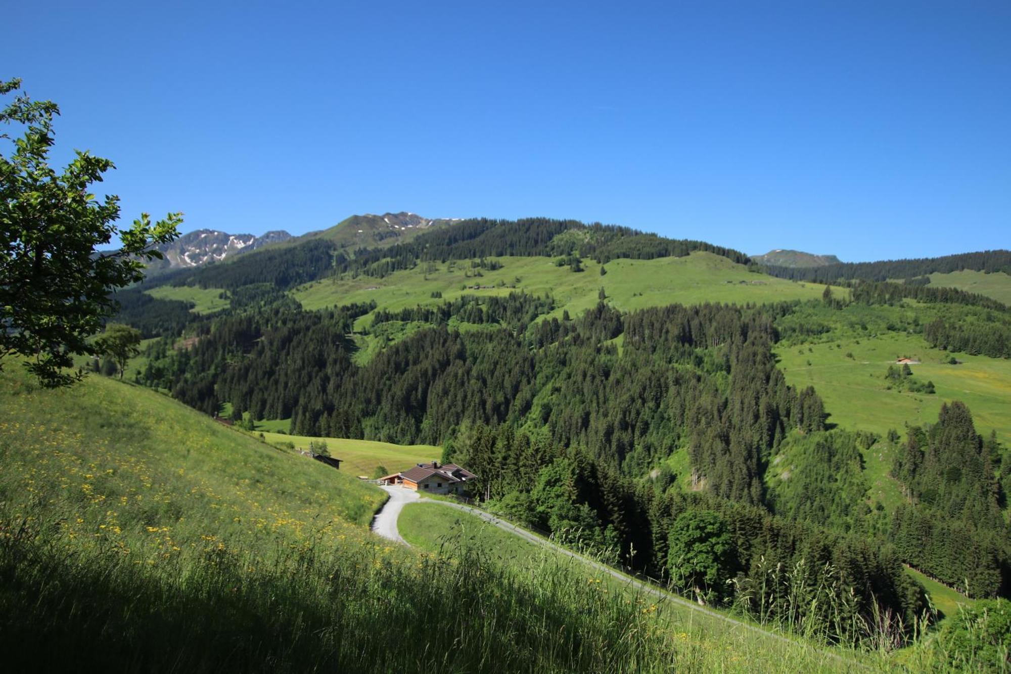 Ferienwohnung Bergpanorama Wild600 Schwarzenau  Exteriér fotografie